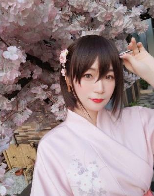 美人谋电视剧免费观看